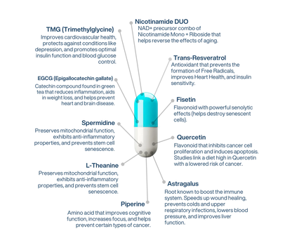 NAD+ Liposomal Longevity complex AEON 3.0.